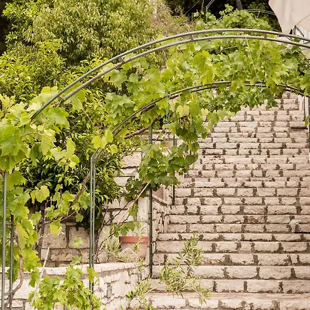 Sea View Amoni Vakantiehuis *